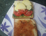 વેજીટેબલ સેંડવીચ (Vegetable Sandwich Recipe In Gujarati) રેસીપી સ્ટેપ3ફોટો