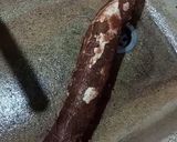 Foto del paso 1 de la receta: Mandioca