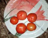 वेज टोमॅटो सूप (veg tomato soup recipe in Hindi) रेसिपी चरण 1 फोटो