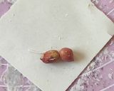 Foto langkah ke 4 dari resep Kacang sembunyi simpel.