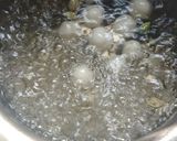 A picture of step 8 of Rasgulla.