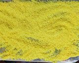 গোবিন্দভোগ চালের পোলাও(Gobindovog chaler pulao recipe in Bengali) রেসিপির ধাপ 1 ছবি