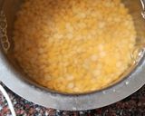 पुरणपोळी (puranpoli recipe in marathi) रेसिपी स्टेप 1 फोटो 