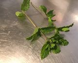 Une image de l'étape 4 de Melon au deux tomates, feta et menthe.