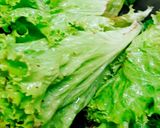 Hình bước làm 1 của món Gỏi cuốn con công