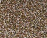 A picture of step 5 of Sprouted moong matki sabji.