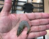 Foto del paso 1 de la receta: Camarones cucarachas al estilo Sonorense