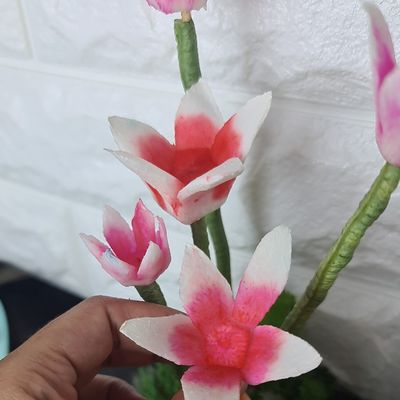 Langkah 5