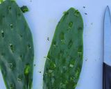 Foto del paso 1 de la receta: Ensalada de Nopales