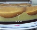 Foto langkah ke 7 dari resep Puding Marie 3 Lapis.