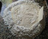 Foto del paso 3 de la receta: Pan dulce