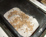 Foto del paso 1 de la receta: Pan de cacahuetes, alcaravea y sésamo