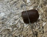 Foto del paso 3 de la receta: Pepas chocolate rellenas