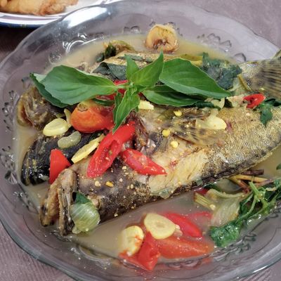 Langkah 5