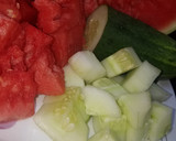 A picture of step 1 of Cucumber and watermelon juice.