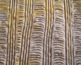 Une image de l'étape 9 de Gâteau Patate.