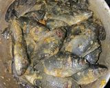 Foto langkah ke 2 dari resep Ikan bethik goreng.