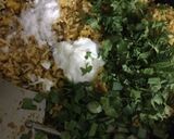 મટકા પુલાવ(Matka pulav recipe in Gujarati) રેસીપી સ્ટેપ3ફોટો
