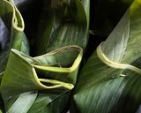 Foto langkah ke 7 dari resep Garang Asam Santan Pakai Daun Pisang.