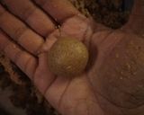 A picture of step 3 of Til ke laddoo.