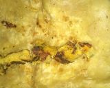 A picture of step 2 of Kebab Paratha.
