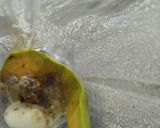 Foto del paso 1 de la receta: Mayonesa🥑casera🧆de aguacate sin huevo...🥙