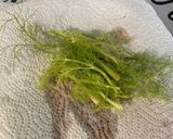 Une image de l'étape 1 de Farce pour poisson aux herbes fraîches et fenouil.