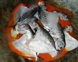 Foto langkah ke 4 dari resep Gulai Asam Lompong Ikan Pilot (Gulai Masam Keladi Ikan Pilot).