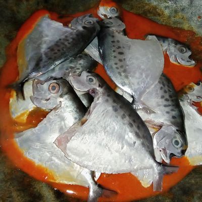 Langkah 4