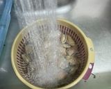 รูปขั้นตอนการทำที่ 2 ของ ผัดหอยลาย สบายใจเชิ้บบบบ