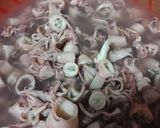 Foto langkah ke 1 dari resep Sambal Cumi.