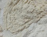 Foto del paso 1 de la receta: Masa hojaldre