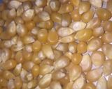 Home made milk popcorn 🍿matakin girki1 hoto