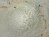 Pastisetas con frappuccino