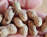 Foto del paso 4 de la receta: Mantequilla de maní 🥜 Pasta de cacahuate 🥜 Crema de cacahuete 🥜