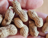 Foto del paso 4 de la receta: Mantequilla de maní 🥜 Pasta de cacahuate 🥜 Crema de cacahuete 🥜