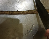 Foto del paso 3 de la receta: La kimpira gobou