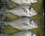 صورة لخطوة 2 من وصفة 🐟 سمك 🐟 مشوي بالفرن 🐟 (دنيس) وأرز 🍚 صيادية 🐟 مع السلطة 🥗