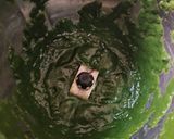A picture of step 2 of Palak Paratha.