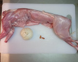 Foto del paso 1 de la receta: Conejo al ajillo