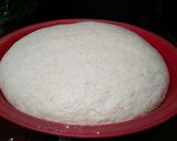 Foto del paso 6 de la receta: Pan rústico natural (baguette)