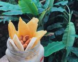 Hình bước làm 4 của món Overnight Oats Yellow