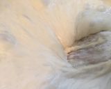 Une image de l'étape 4 de Beignets 🍩.