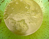Foto del paso 2 de la receta: Pannacotta con almendras y litchis