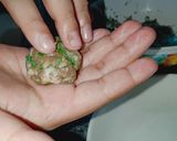 Hình bước làm 2 của món Thịt lợn viên lá lốt