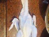 فراخ محشيه رز وكبد