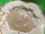 Pan integral