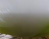 Foto langkah ke 2 dari resep Lapis Pepe Tepung Hunkwe.