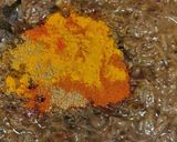 A picture of step 4 of Bangla chicken massala.