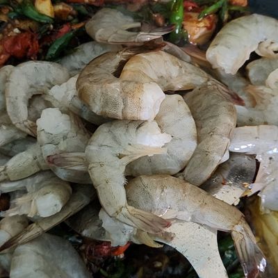 Langkah 4